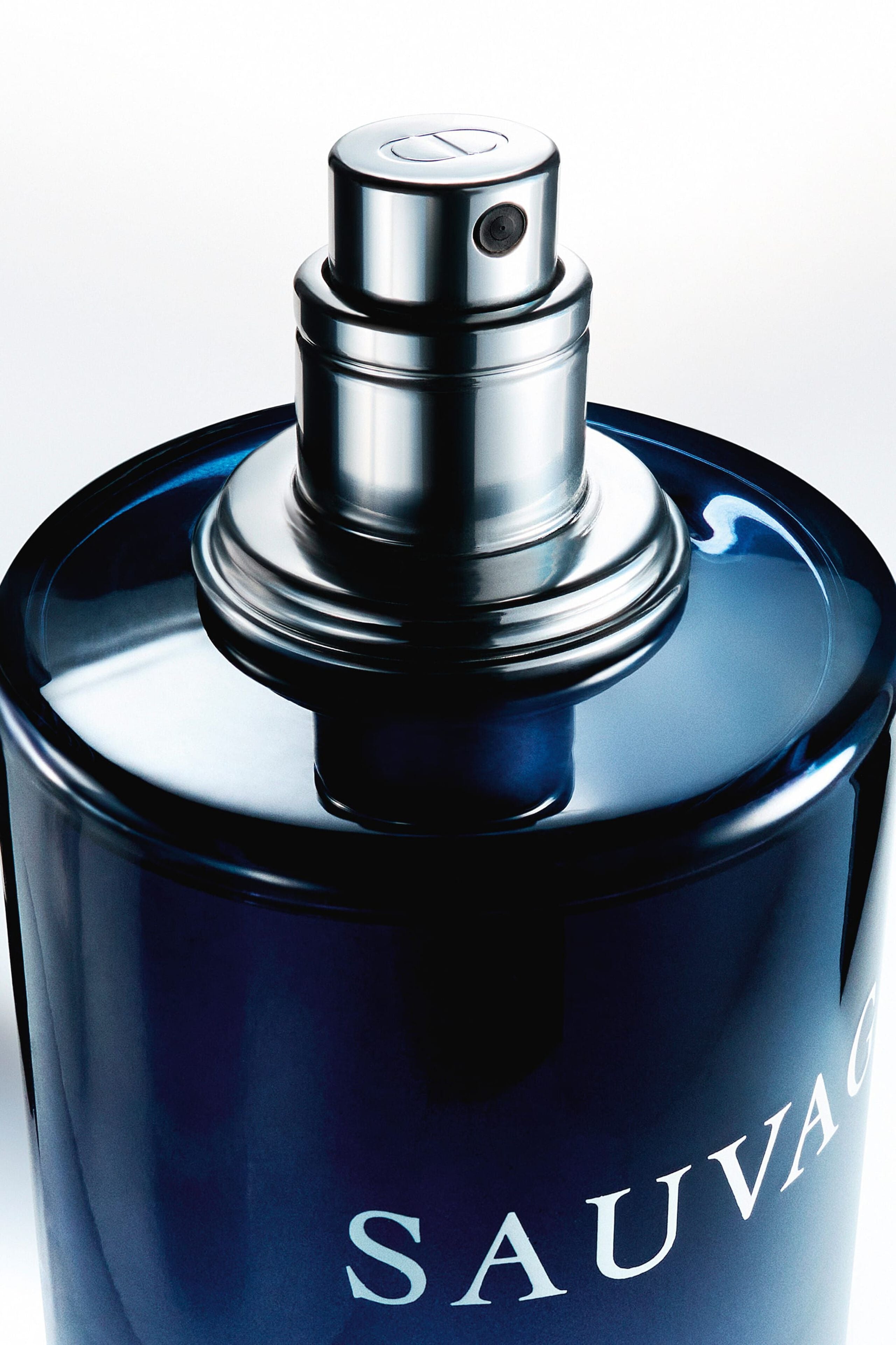 Sauvage Dior 100ML