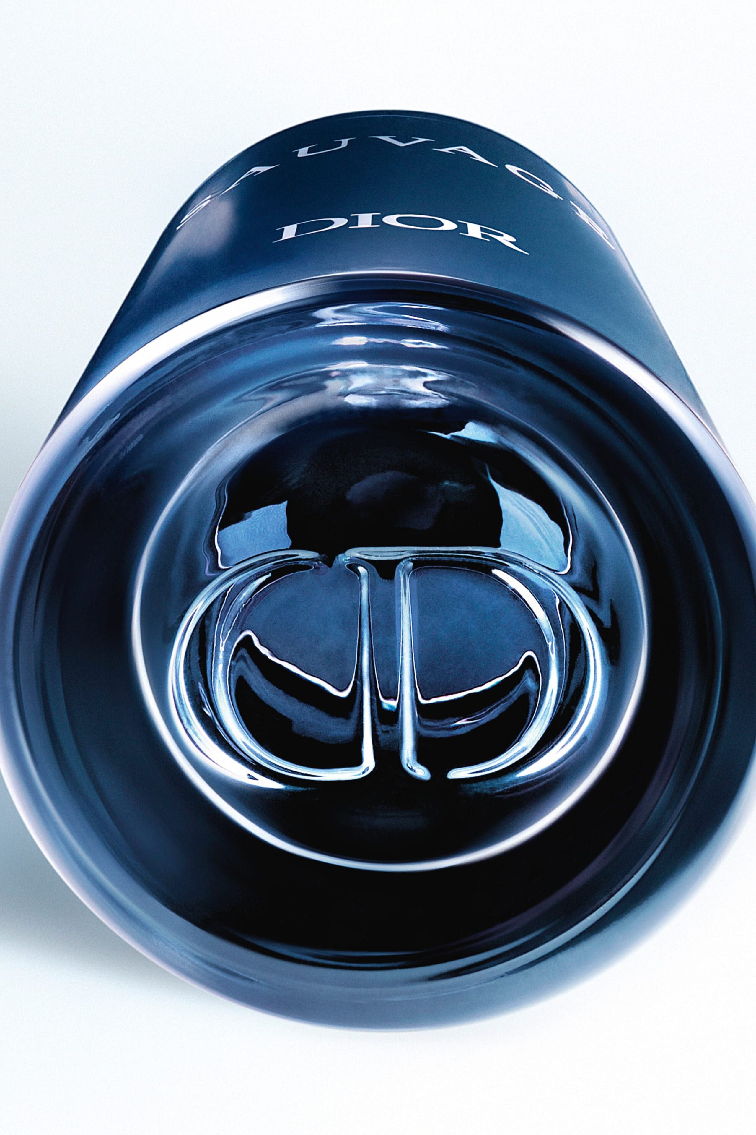 Sauvage Dior 100ML