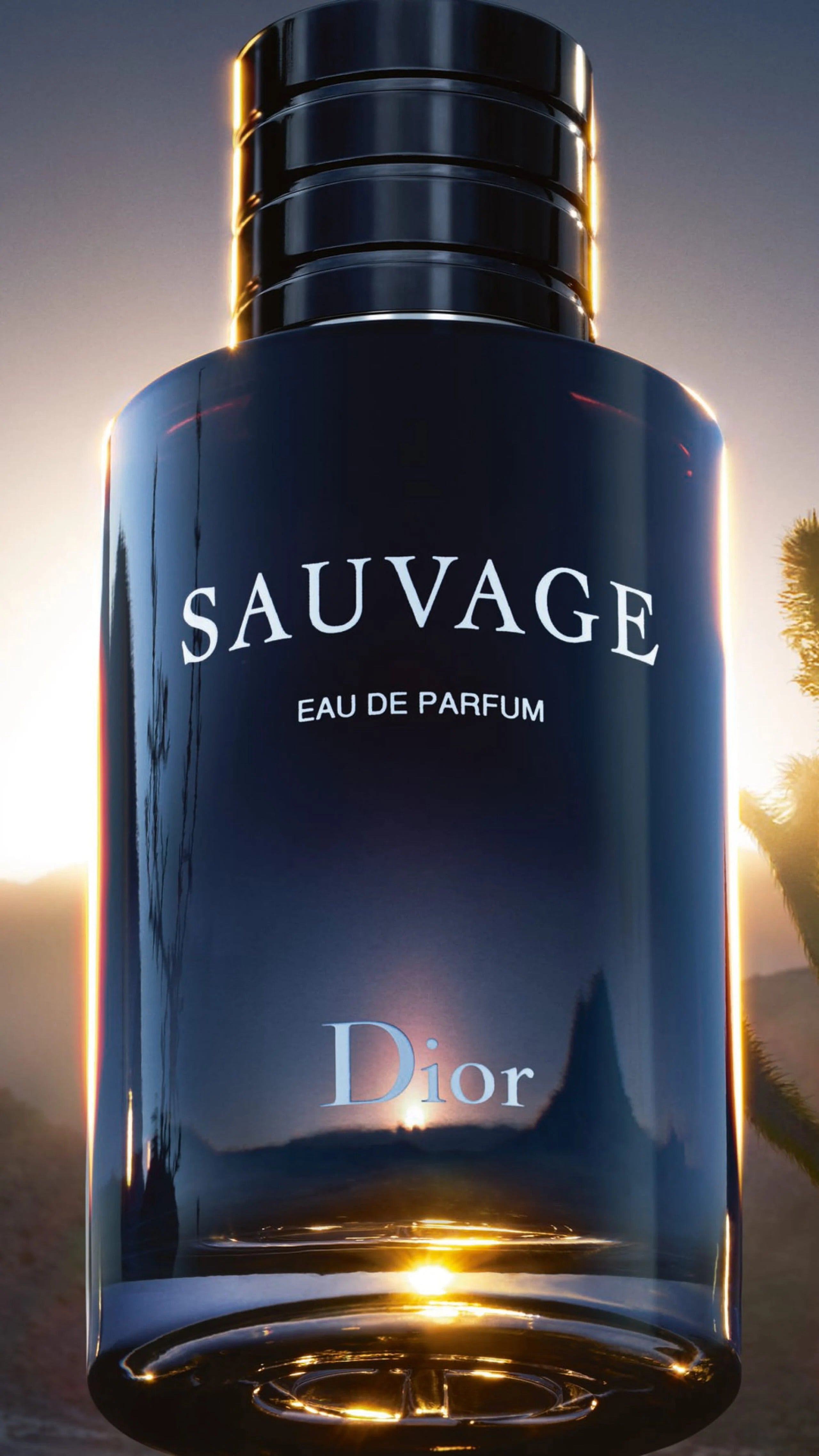 Sauvage Dior 100ML